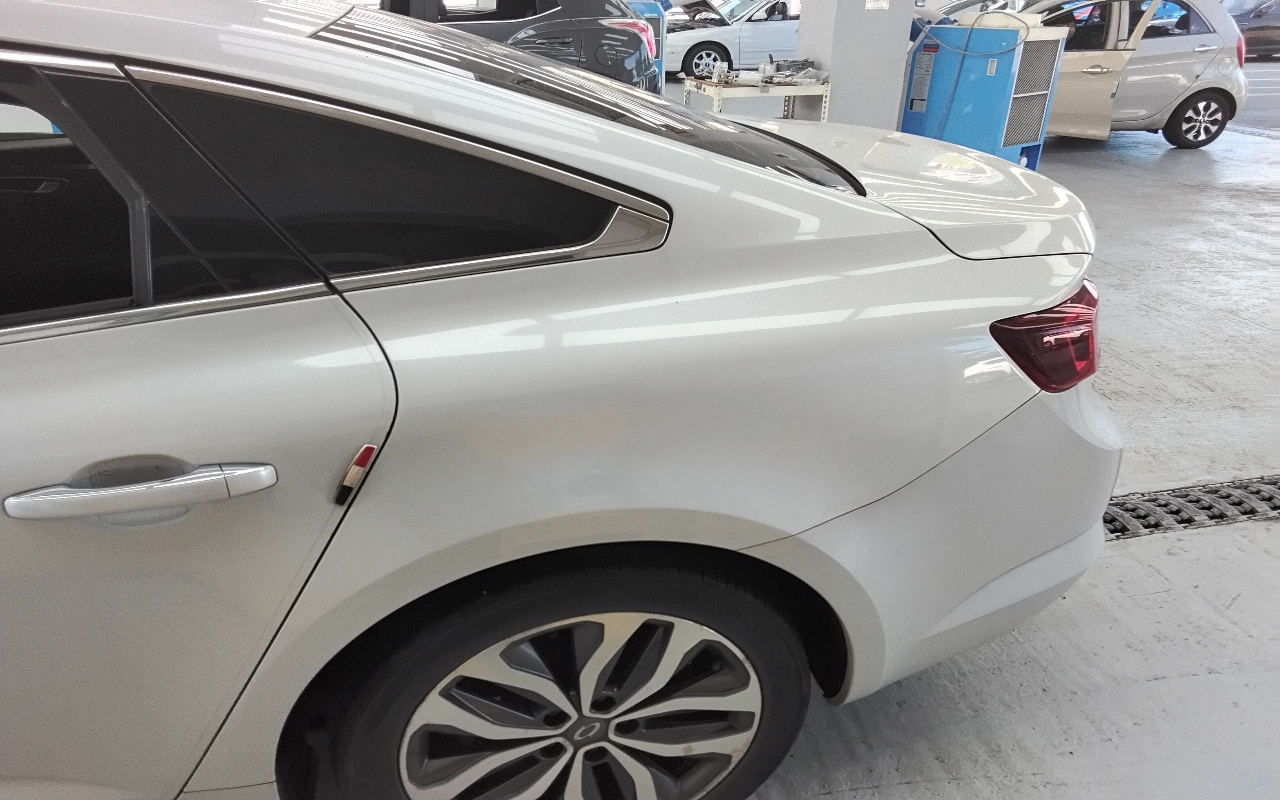 RENAULT(SAMSUNG) SM6 2.0 GDe