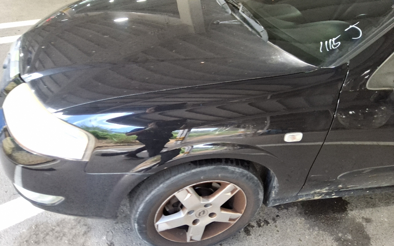 RENAULT(SAMSUNG) SM3 New Generation 1.6