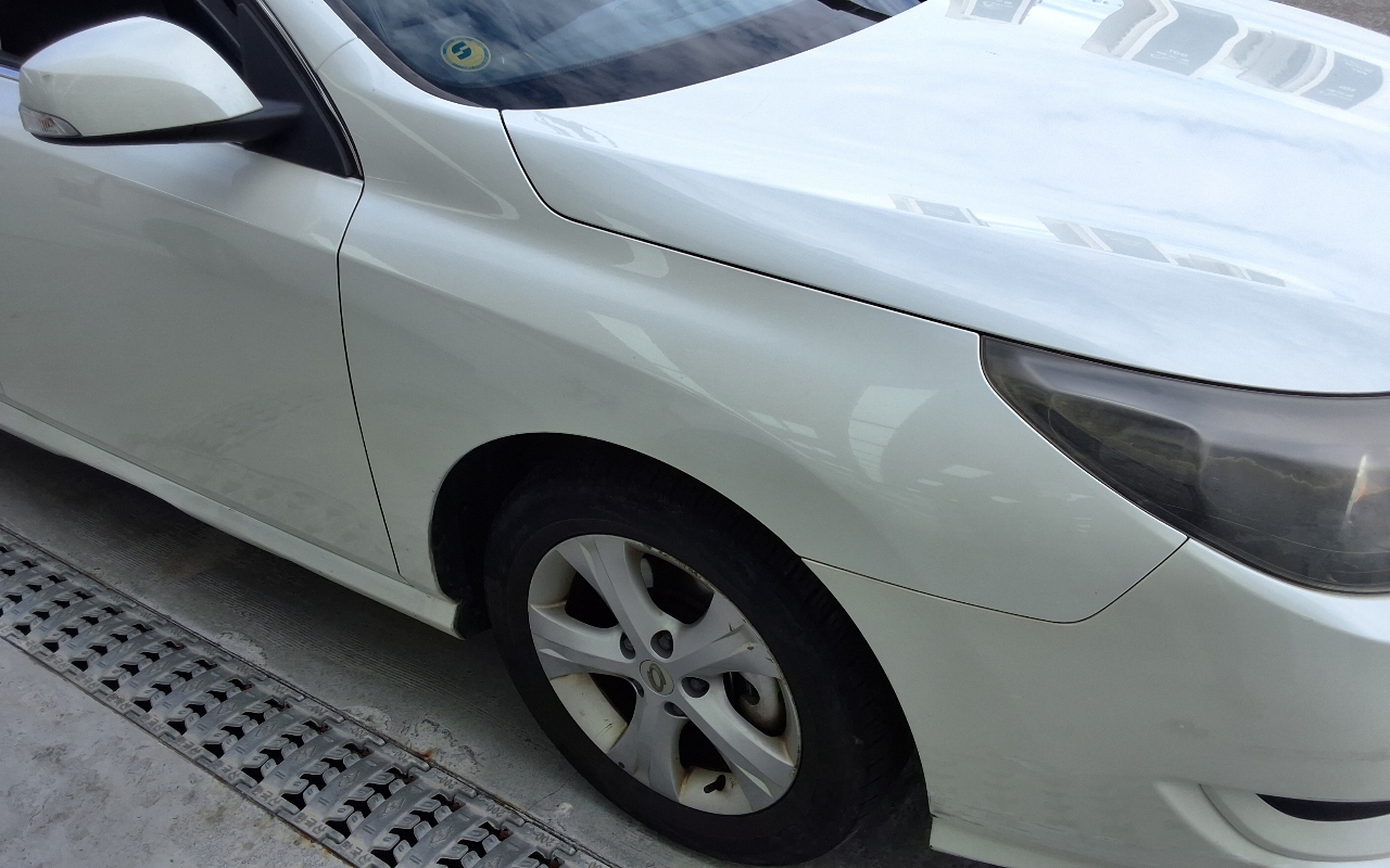 RENAULT(SAMSUNG) New SM5 New Model LPLi
