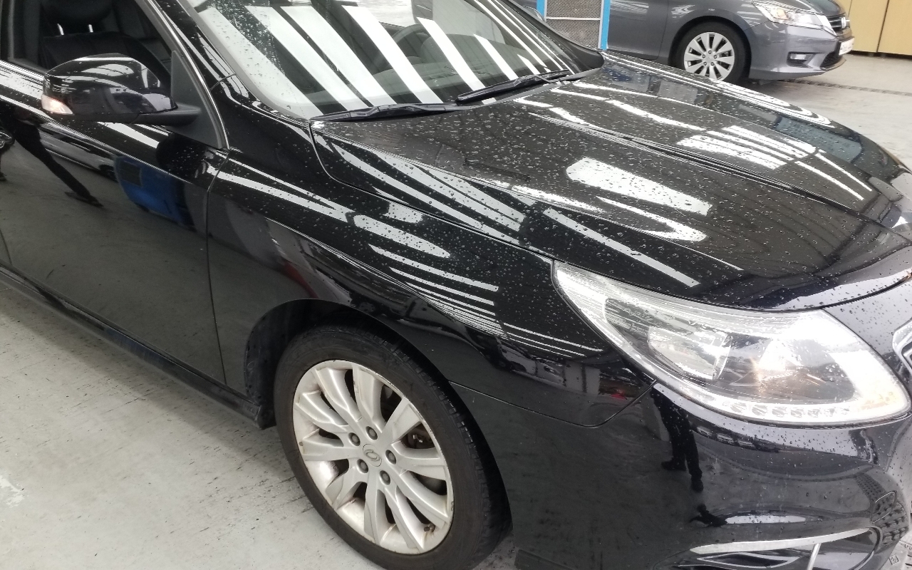 RENAULT(SAMSUNG) New SM5 Platinum 2.0 LE