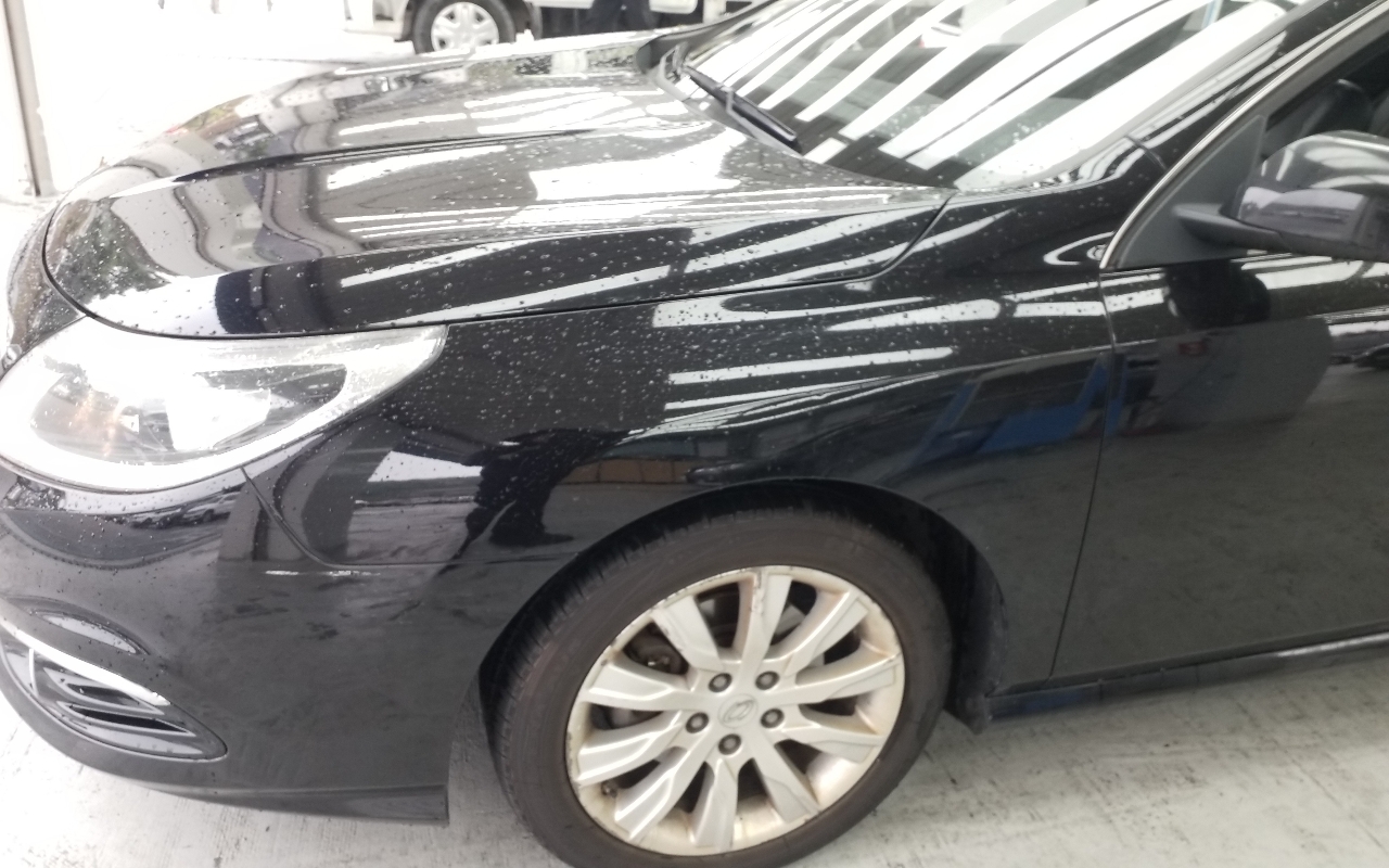 RENAULT(SAMSUNG) New SM5 Platinum 2.0 LE