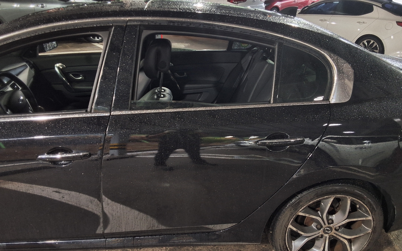 RENAULT(SAMSUNG) New SM5 Platinum LPLi