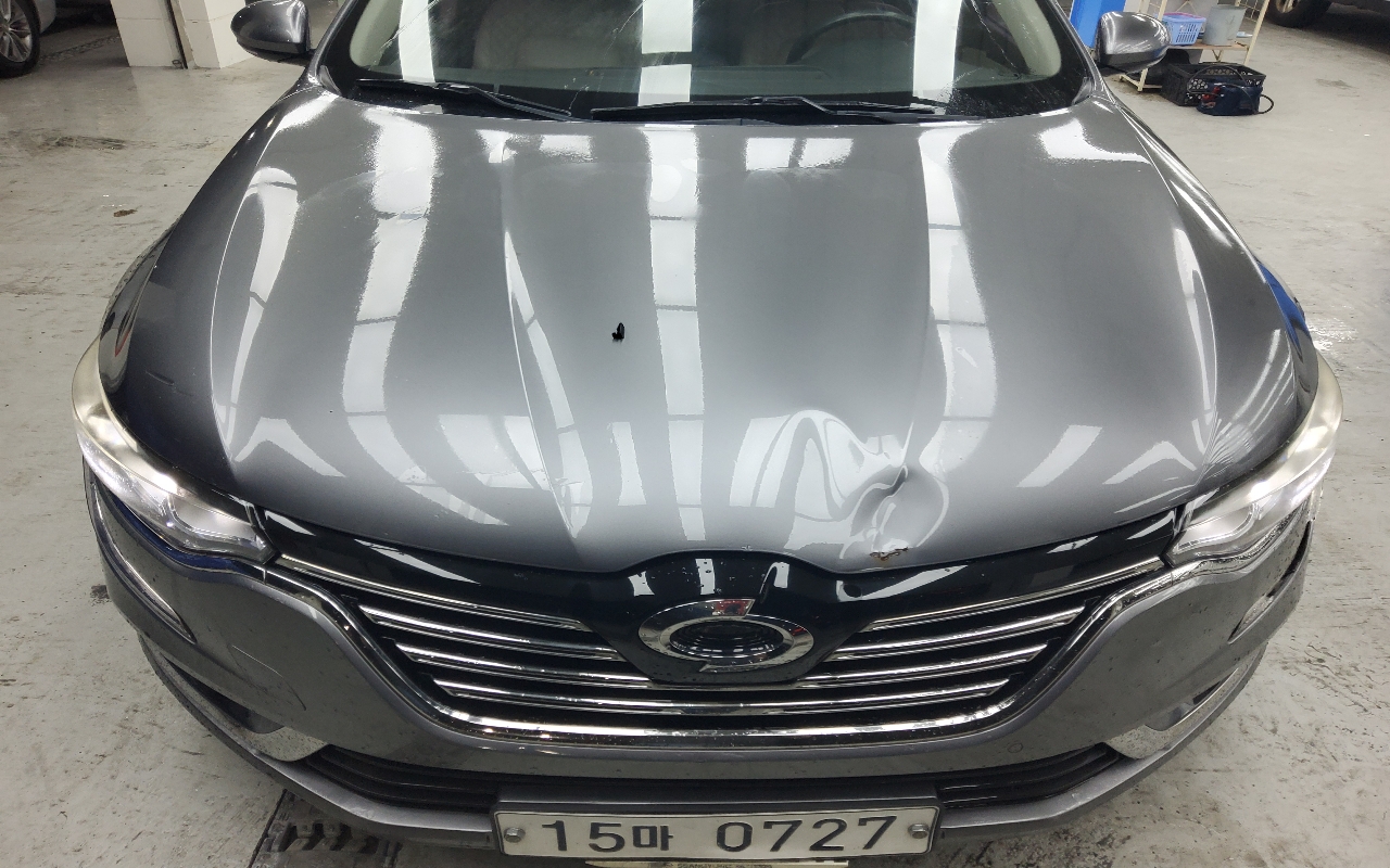 RENAULT(SAMSUNG) SM6 2.0 GDe