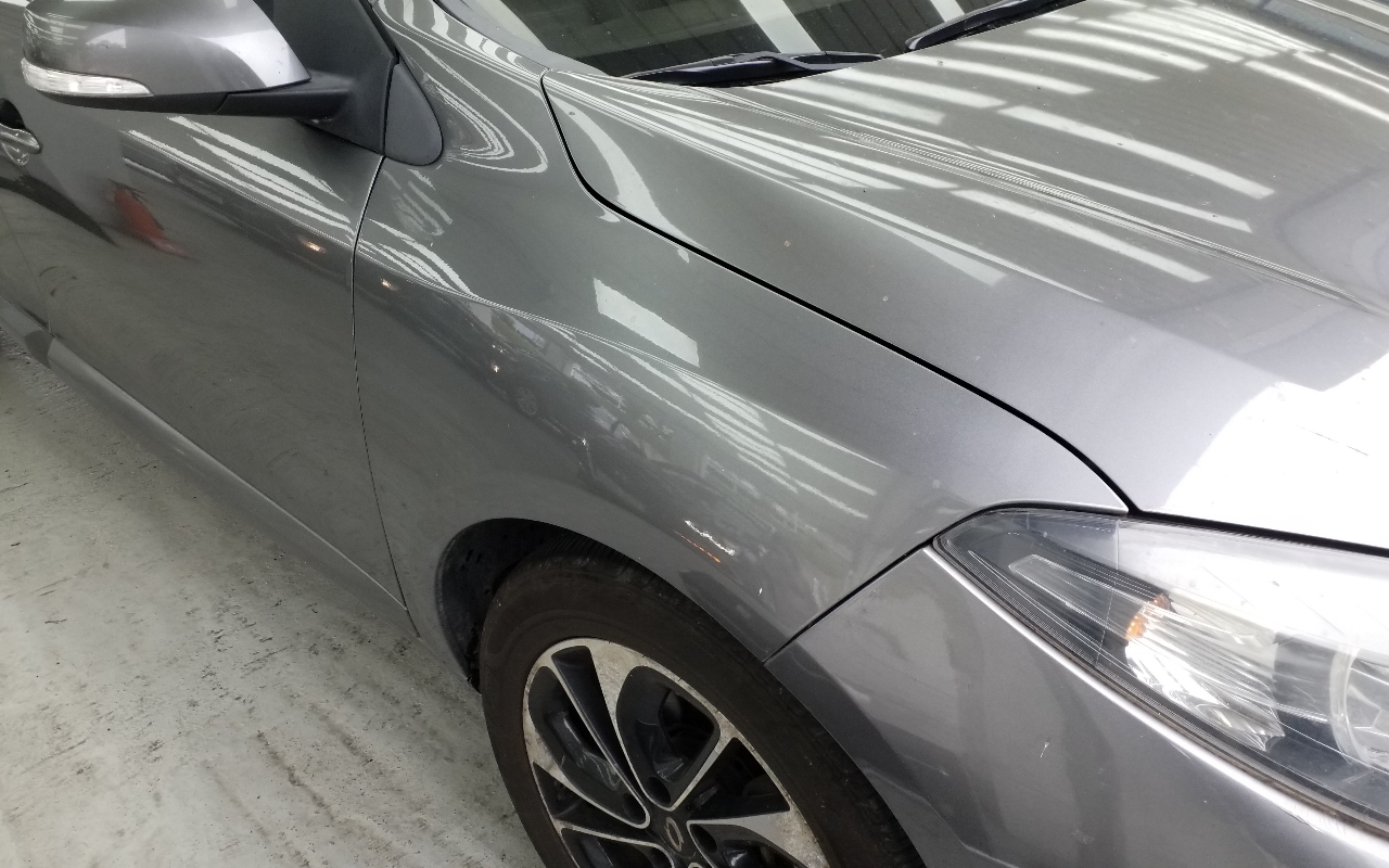 RENAULT(SAMSUNG) SM3 Neo LE Art Collection II