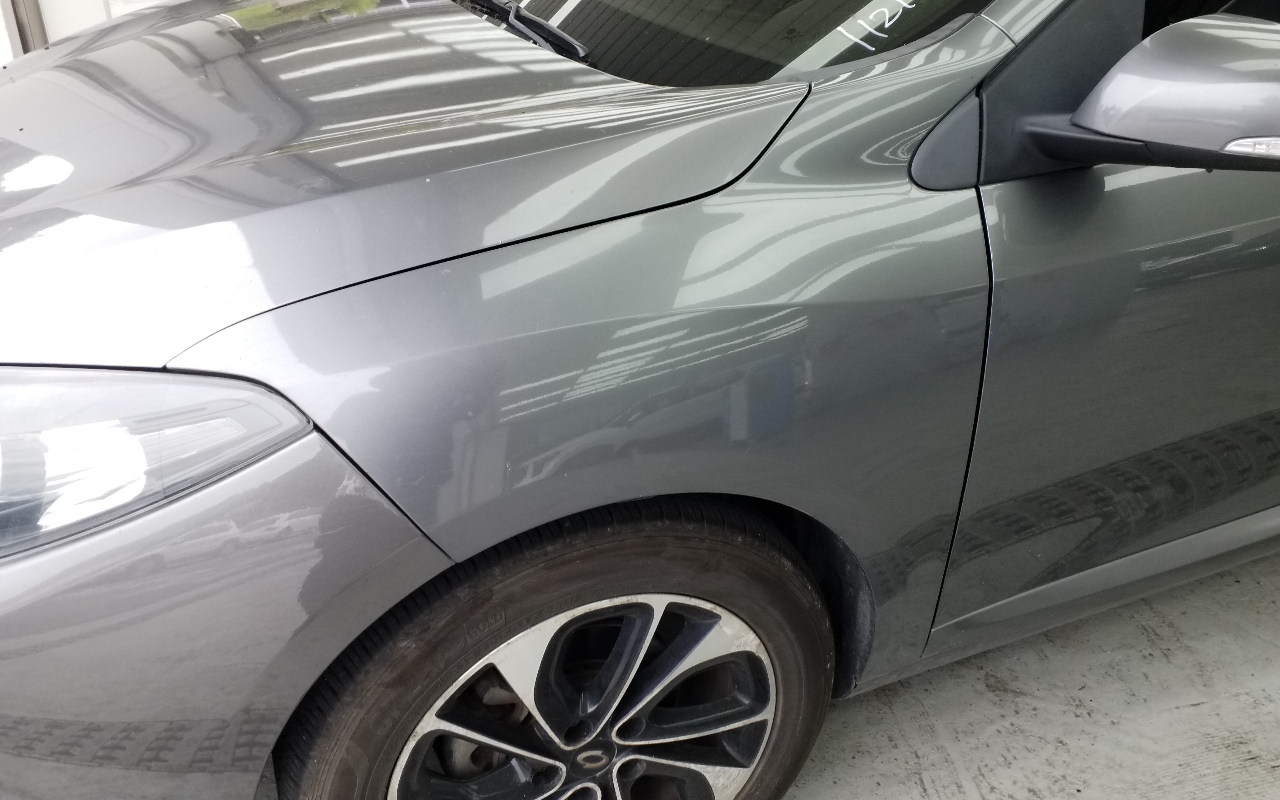 RENAULT(SAMSUNG) SM3 Neo LE Art Collection II