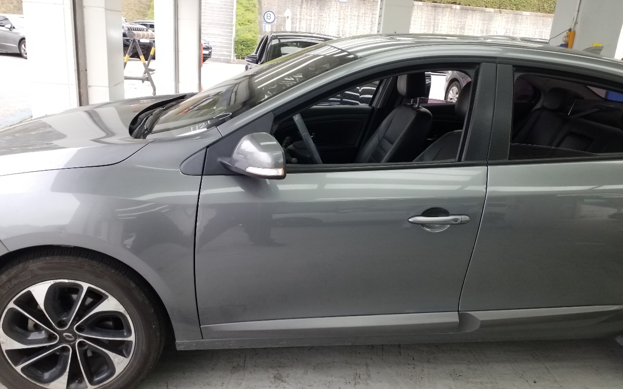 RENAULT(SAMSUNG) SM3 Neo LE Art Collection II