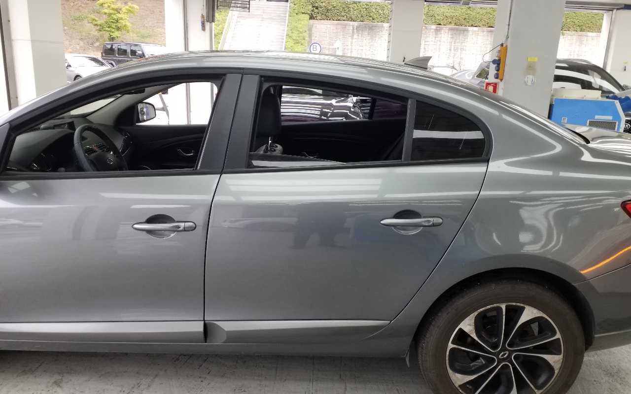 RENAULT(SAMSUNG) SM3 Neo LE Art Collection II