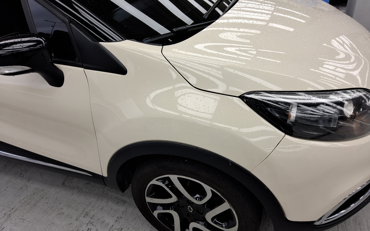 RENAULT(SAMSUNG) QM3 LE