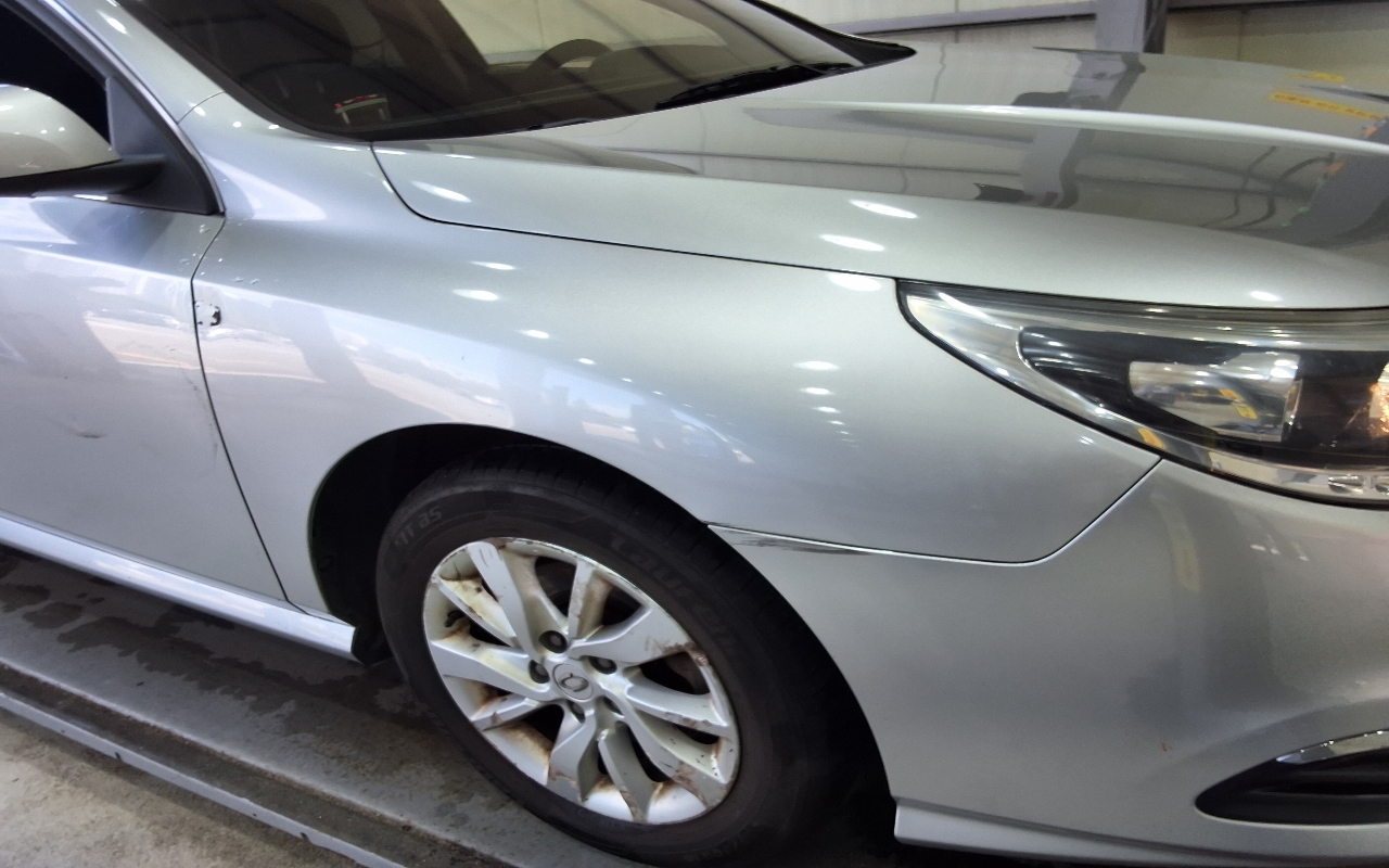 RENAULT(SAMSUNG) New SM5 Platinum LPLi