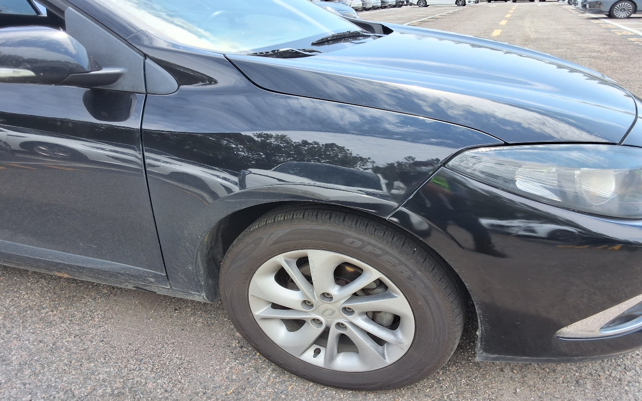 RENAULT(SAMSUNG) SM3 Neo SE